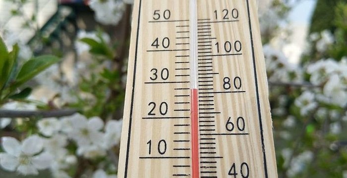 Ugdymo procesas šiltuoju metų laiku gali būti koreguojamas