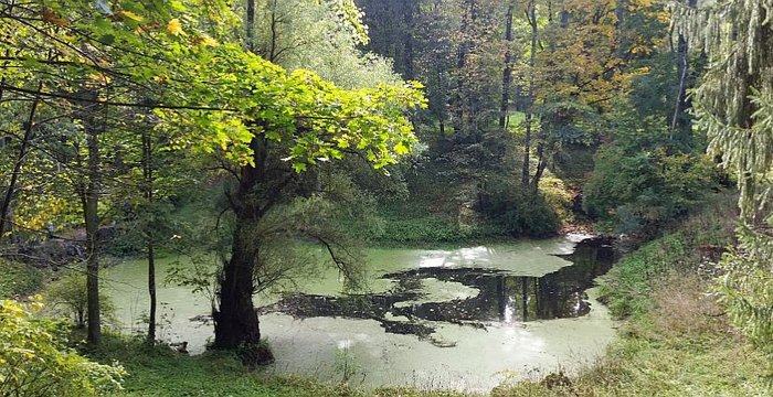 Kviečiame į ekskursiją po Lentvario dvaro parką