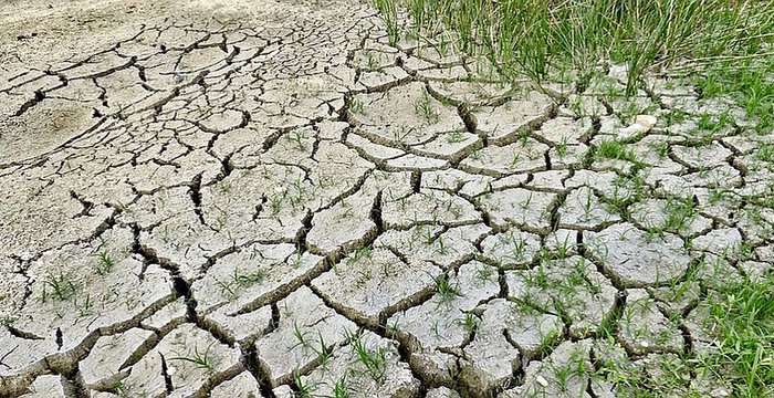 Informacija apie stichinės sausros pabaigą Trakų rajono savivaldybėje