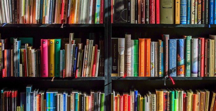 Trakų viešoji biblioteka siūlo darbą viešųjų pirkimų specialistui 