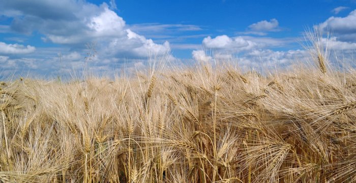 Svarbi informacija žemės ūkio valdų valdytojams ir ūkininkams