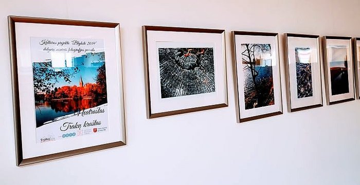 Rūdiškių bibliotekoje – paroda „Blykstė 2019“