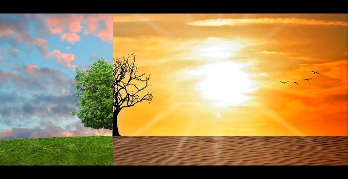 2020 m. kvietimas teikti paraiškas finansavimui iš Klimato kaitos programos