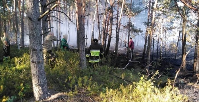 Miškininkai antrą dieną gesina miškus šalia Trakų – įtariami tyčiniai padegimai