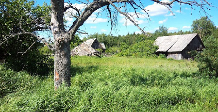 Raginame sutvarkyti apleistus kitos paskirties žemės sklypus