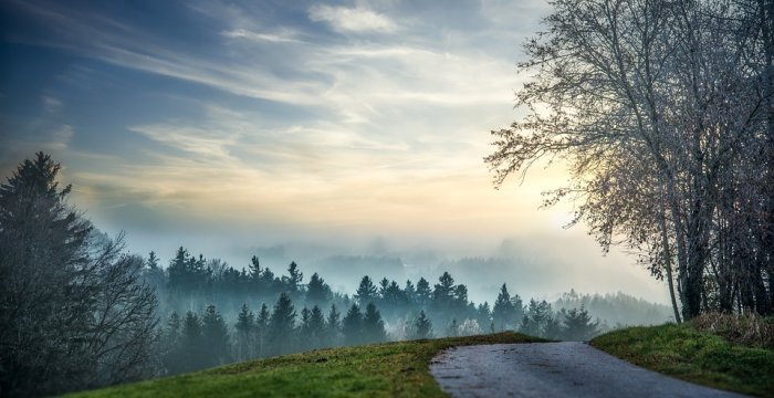 Parengti vietinės reikšmės kelio Čižiūnai-Ubiškės atkarpos Čižiūnų kaime, Aukštadvario...