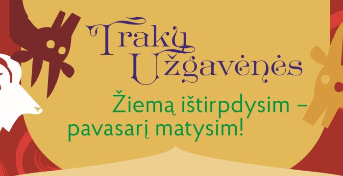 Tokios kokios Užgavėnės kviečia !