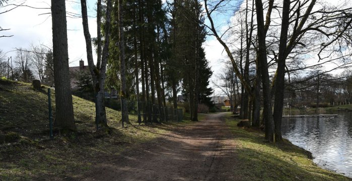 Dėmesio sulaukęs želdynų projektas: darbai atliekami turint visus derinimus ir leidimus
