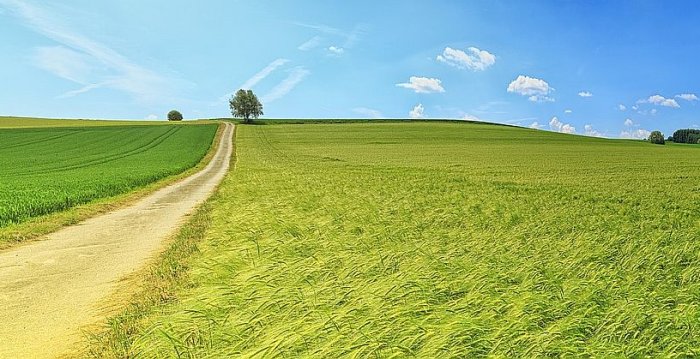 Informacinis pranešimas apie numatomą rengti specialiojo teritorijų planavimo dokumentą  