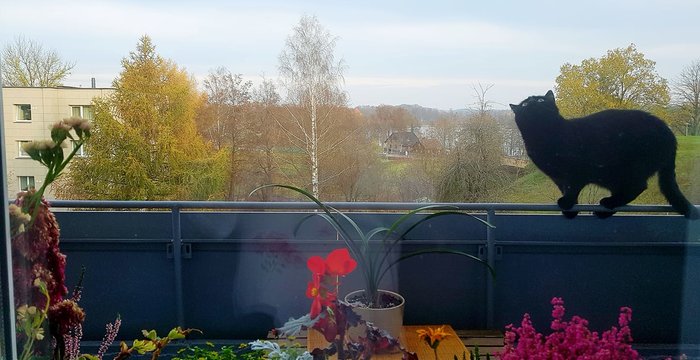 Kviečiame rūpintis ne tik savo augintiniais, bet ir miesto švara