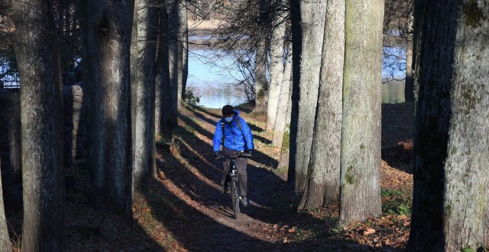 Kviečiame susipažinti su naujai atlikta Trakų miesto želdynų ir želdinių inventorizacija