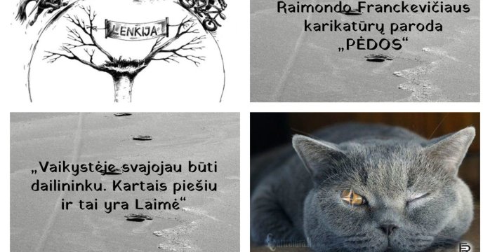 Raimondo Franckevičiaus satyros ir humoro karikatūros Rūdiškių bibliotekoje