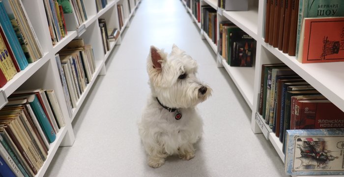 Lentvario miesto biblioteka – draugiška gyvūnams!