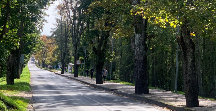 Dėl vykdomo projekto Lentvaryje, Klevų alėjoje