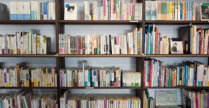Ieškomas darbuotojas Šklėrių bibliotekoje