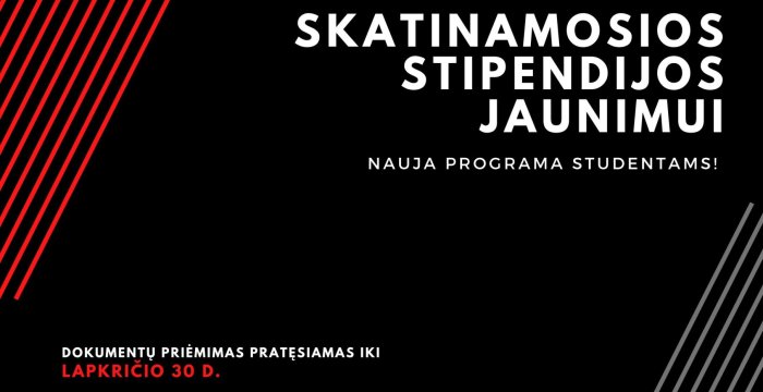 Nauja galimybė jaunimui !