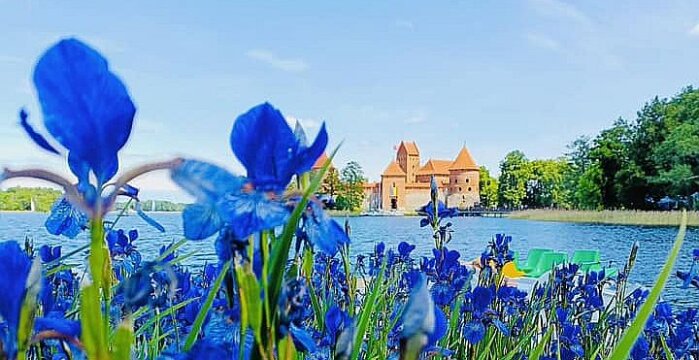 Darbai vasarėjančioje Trakų seniūnijoje