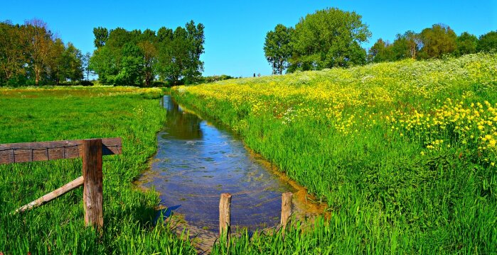Informacija dėl melioracijos griovių remonto darbų