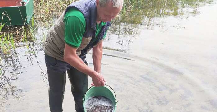 Trakų rajono savivaldybėje įžuvinami ežerai