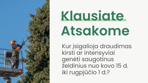 Informacija dėl želdinių genėjimo paukščių perėjimo laikotarpiu