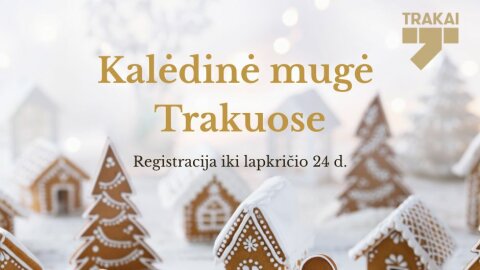 Kalėdinė mugė Trakuose
