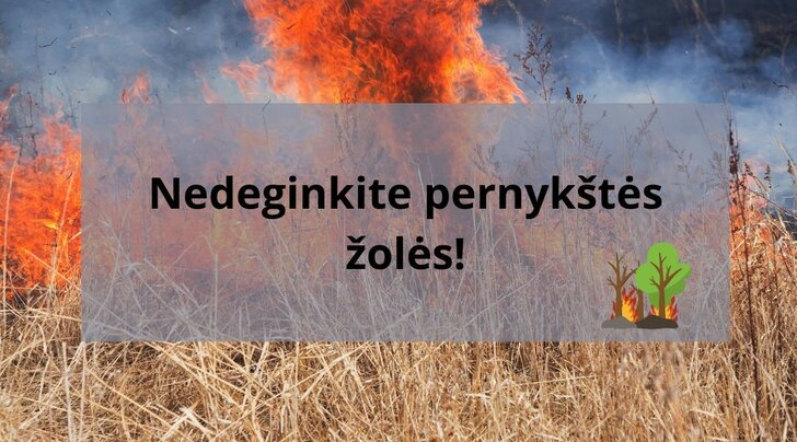 Rūdiškių seniūnijos naujienos