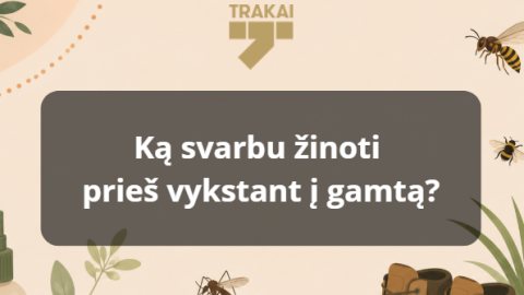 Vasaros išvykos į gamtą: kaip apsisaugoti nuo vabzdžių ir erkių
