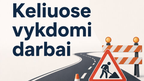 Eismo ribojimai Šklėriuose, Rugiagėlių g. ruože
